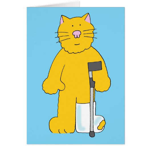 Breken been Kat met been in gips (Voorkant)