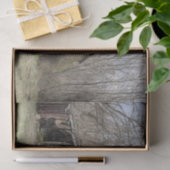 Breken omlaag Barn Amidst Bare Trees en Scrub Stru Tissuepapier (Geschenk)