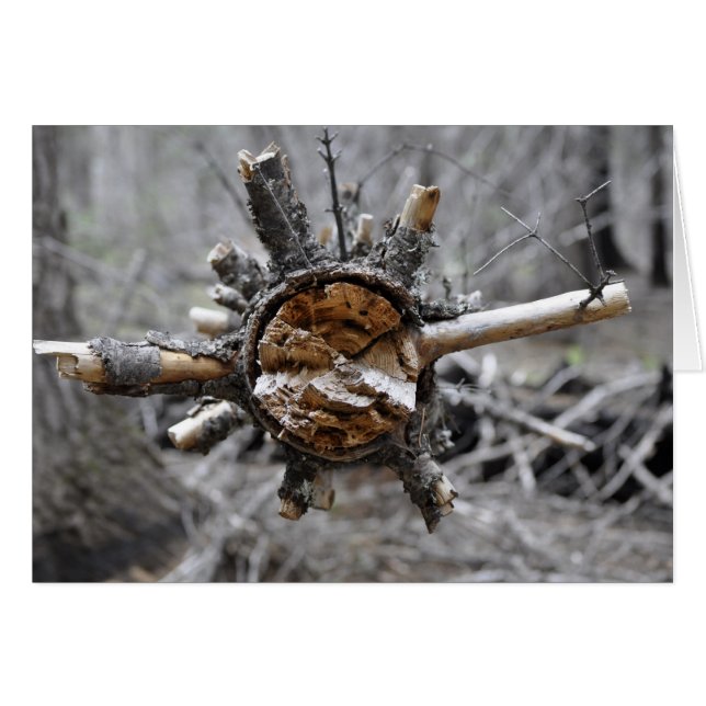 Breken Pine (Voorkant Horizontaal)