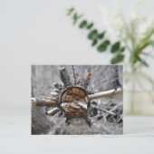 Breken Pine Briefkaart (Staand voorkant)