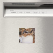 Breken tri kleur mini rex konijnenkop waterpas magneet (Insitu (Vaatwasser))