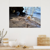 Breker, strandleven poster (Keuken)