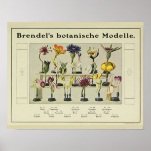 Brendel's ventilatormodel en kunstdrukken Poster