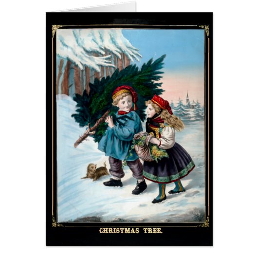 Breng de boom naar huis (Voorkant)