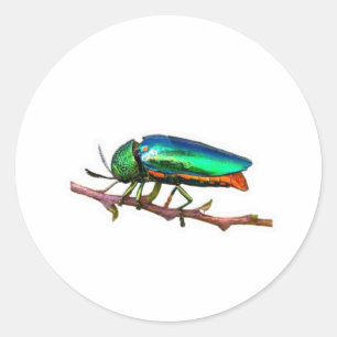 "Breng de frisheid van de tropische bergen naar  Ronde Sticker