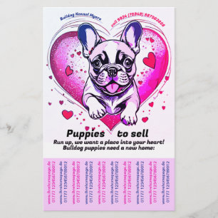 Breng een Franse Bulldog Puppy in Huis Flyer