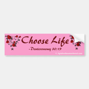 Breng hem op in Roze Bijbelprijsopgave Aanpassen Bumpersticker