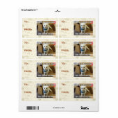 Breng ik me nu naar huis? etiket (Full Sheet)