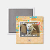 Breng ik me nu naar huis? magneet (Voorkant / Achterkant)