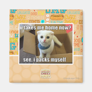 Breng ik me nu naar huis? magneet