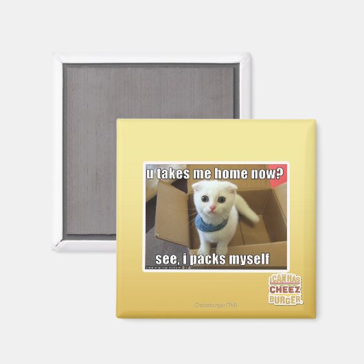 Breng ik me nu naar huis? magneet (Voorkant / Achterkant)