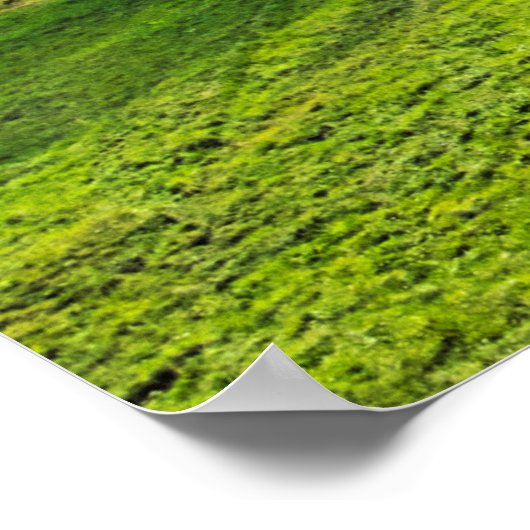 Breng me naar de bergen met pijnbomen. poster (Hoek)