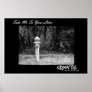 Breng me naar je liter poster