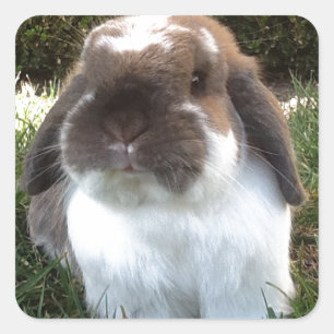 Breng wat frisheid in je leven! vierkante sticker