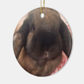 Breng wat fruitigheid naar je boom keramisch ornament (Links)