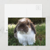 Breng wat rust in je leven! briefkaart (Voorkant / Achterkant)