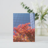 Brentwood bomen en glas briefkaart (Staand voorkant)