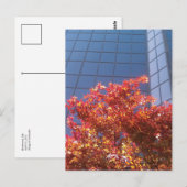 Brentwood bomen en glas briefkaart (Voorkant / Achterkant)