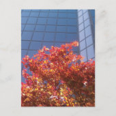 Brentwood bomen en glas briefkaart (Voorkant)