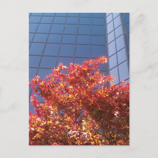 Brentwood bomen en glas briefkaart (Voorkant)