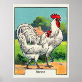  Bresse Chicken Poster (Voorkant)
