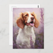 Bretagne hond in Lavender veld Briefkaart (Voorkant / Achterkant)
