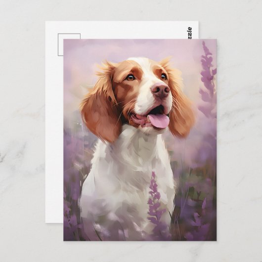 Bretagne hond in Lavender veld Briefkaart (Voorkant / Achterkant)