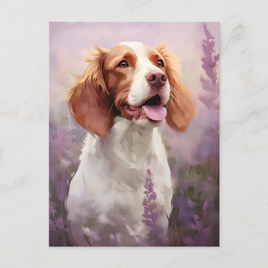 Bretagne hond in Lavender veld Briefkaart (Voorkant)