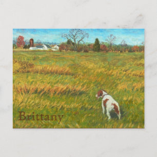 Bretagne in het veld briefkaart