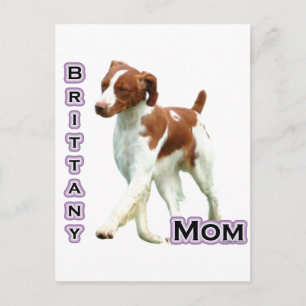 Bretagne Moeder 4 Briefkaart