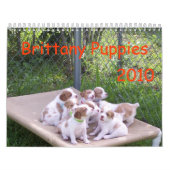 Bretagne Puppies 2010 Kalender (Hoes)