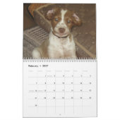 Bretagne Puppies 2010 Kalender (Feb 2027)