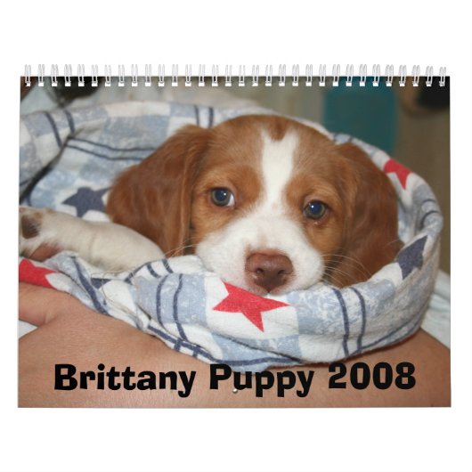 Bretagne Puppy Calendar 2008 (ALLE RUSTY) Kalender (Hoes)