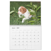 Bretagne Puppy Calendar 2008 (ALLE RUSTY) Kalender (Mar 2027)