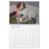 Bretagne Puppy Calendar 2008 (ALLE RUSTY) Kalender (Jan 2027)