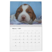 Bretagne Puppy Calendar 2008 (ALLE RUSTY) Kalender (Feb 2027)