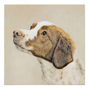 Bretagne schilderen - Oorspronkelijke dog maken Poster