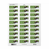 Bretagne spaniel adresetiketten etiket (Full Sheet)