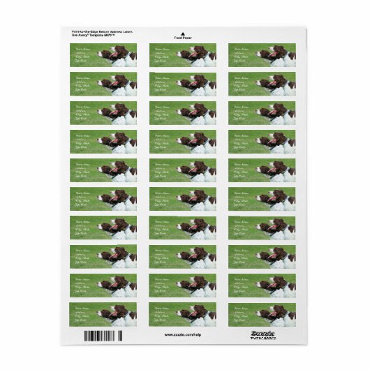 Bretagne spaniel adresetiketten etiket (Full Sheet)