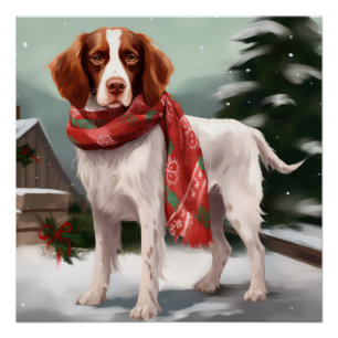 Bretagne Spaniel Hond in Sneeuw Kerstmis Perfect Poster