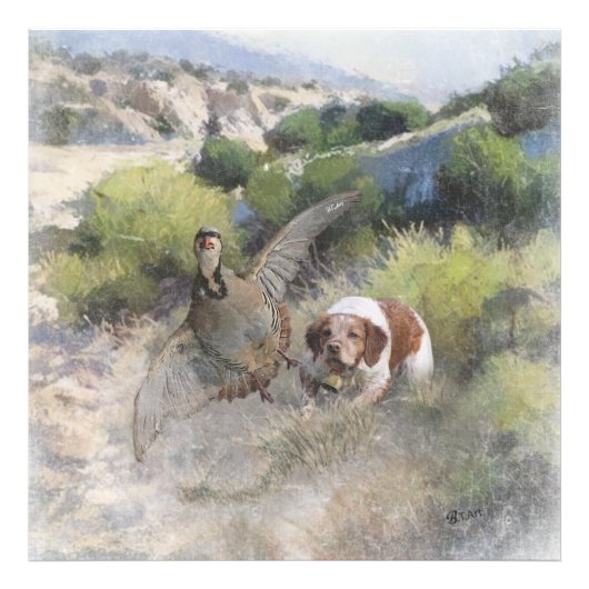 Bretagne Spaniel jacht chukar patrijs, Art Foto Afdruk (Voorkant)