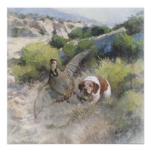 Bretagne Spaniel jacht chukar patrijs, Art Perfect Poster