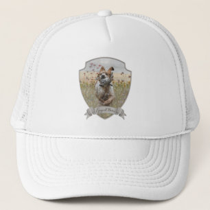 Bretagne Spaniel jachtkwartel, art Trucker Pet