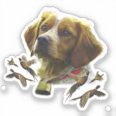 Bretagne Spaniel Kunst, Sticker (Voorkant)