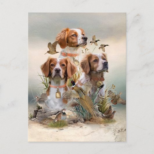 Bretagne Spaniel, Passie voor vogels Briefkaart (Voorkant)