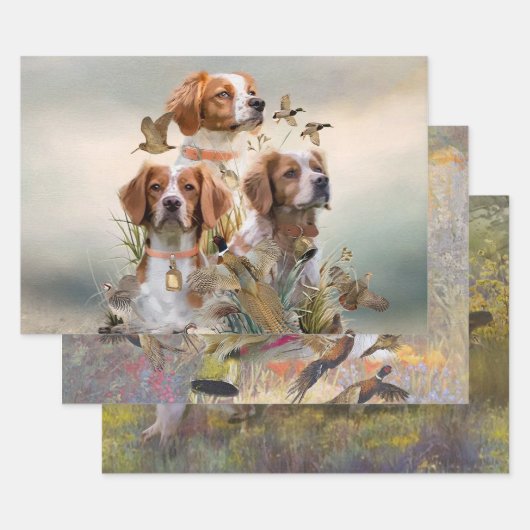 Bretagne Spaniel, Passie voor vogels Inpakpapier Vel (Set)