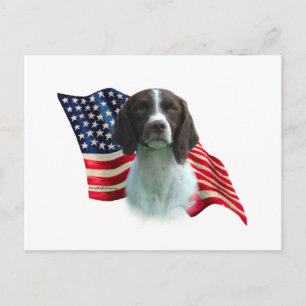 Bretagne Spaniel Vlag Briefkaart