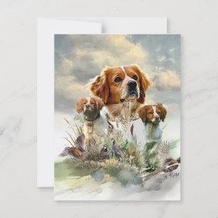 Bretagne Spaniels, Frans Bretagne, Vogelhond Briefkaart