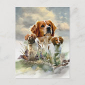 Bretagne Spaniels, Frans Bretagne, Vogelhond Briefkaart (Voorkant)