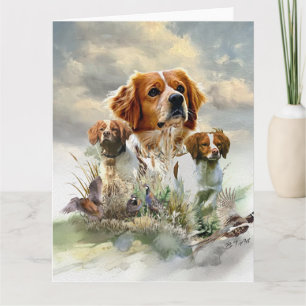 Bretagne Spaniels, Frans Bretagne, Vogelhond Kaart